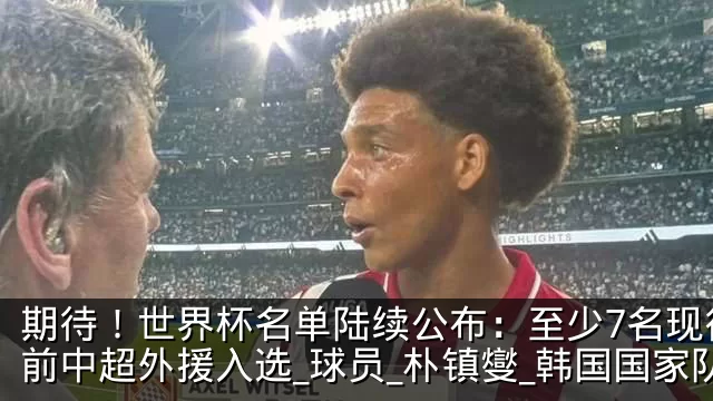 期待！世界杯名单陆续公布：至少7名现役或前中超外援入选_球员_朴镇燮_韩国国家队